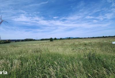 Teren de 10889 mp, în Băcia - 3