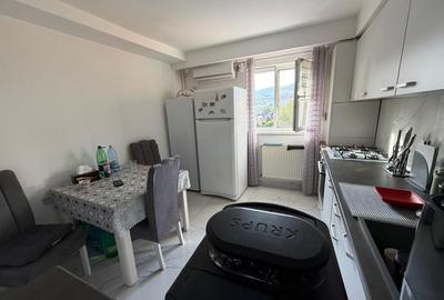 Apartament cu 2 camere în Cetate