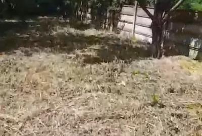 Casă cu 1 camere cu Teren 6250 Mp în Filipești - 6