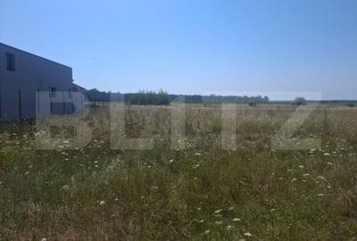 Teren de 4400 mp, în Dragomirești