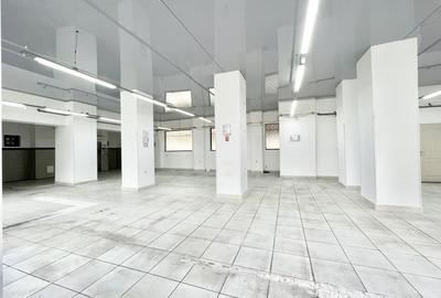 Spațiu comercial, de 266 mp, în Cișmigiu - 7