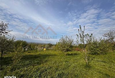 Casă cu 4 camere cu Teren 2341 Mp în Cicârlău - 1