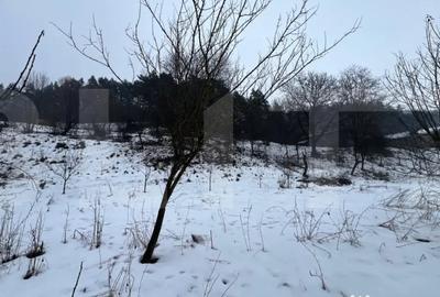 Teren de 2800 mp, în Micești - 1