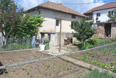 Casă cu Teren 496 Mp în Central