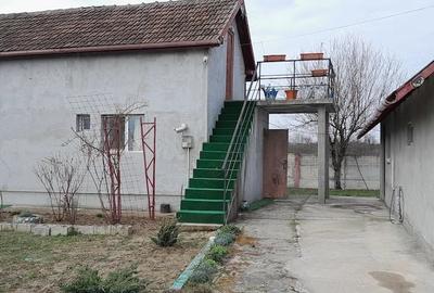 Casă cu Teren 11000 Mp în Pluta - 8