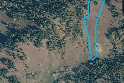Teren de 29000 mp, în Panaci