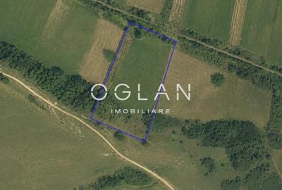 Teren agricol extravilan de 11500 mp, în Cristian - 2