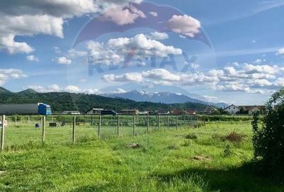 Teren Construcții intravilan de 1000 mp, în Cristian - 11
