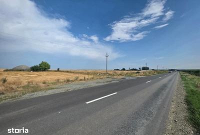 Teren de 20000 mp, în Mihail Kogălniceanu