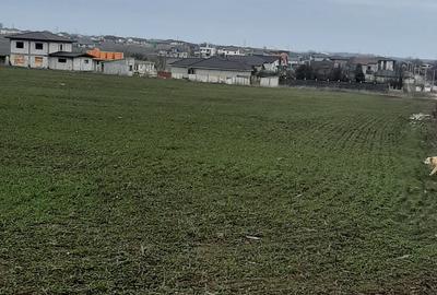 Teren Construcții intravilan de 5000 mp, în Lazu - 4