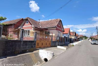 Casă cu 2 camere în Viișoara - 7