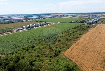 Teren intravilan de 8600 mp, în Dragomirești-Vale - 13