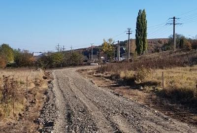 Teren de 17000 mp, în Fălticeni - 5