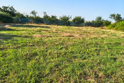 Teren Construcții intravilan de 1050 mp, în Pecineaga - 7