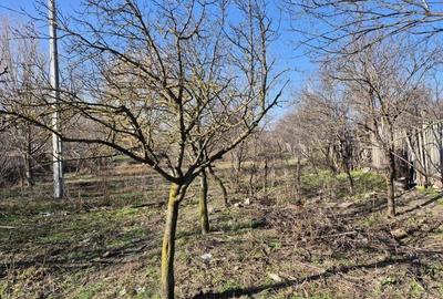 Casă în Brâncoveanca