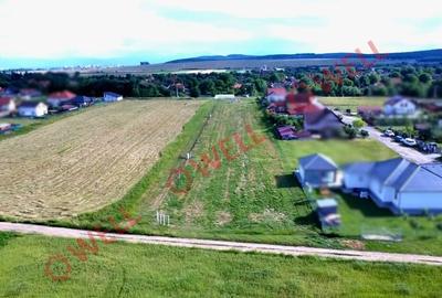 Teren Construcții intravilan de 729 mp, în Arcuș - 4