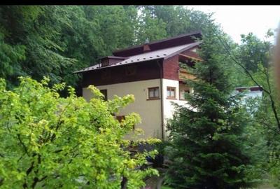 Casă cu 4 camere în Valea Doftanei - 1