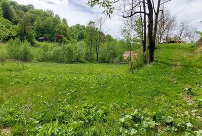Teren de 12820 mp, în Agăș - 9