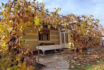 Casă cu 2 camere cu Teren 1300 Mp în Central