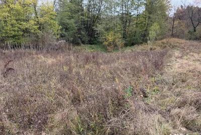 Teren de 700 mp, în Bălțățeni - 1