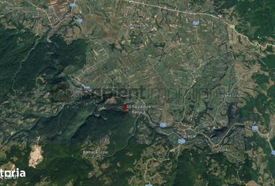 Teren de 100000 mp, în Finiș