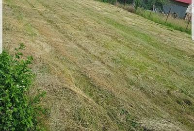 Teren de 900 mp, în Valea Sălciilor - 1