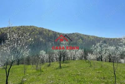 Teren de 9104 mp, în Brebu - 3