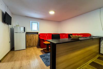 Apartament cu 2 camere semidecomandat, mobilat în Someșeni - 9
