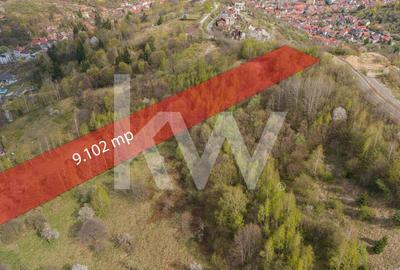 Teren Construcții intravilan de 9102 mp, în Drumul Poienii - 7