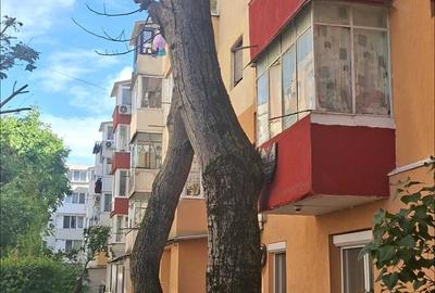 Apartament cu 2 camere semidecomandat în Noua