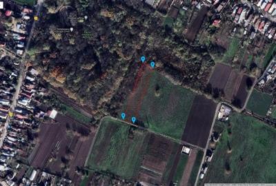 Teren de 4000 mp, în Măgurele