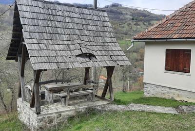 Casă cu 3 camere în Brad - 4