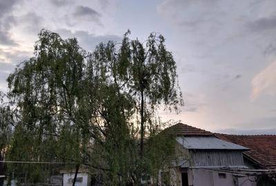 Teren agricol intravilan de 5 mp, în Ciuperceni (Cosmești) - 1