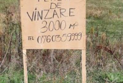 Teren Construcții intravilan de 3000 mp, în Bibești