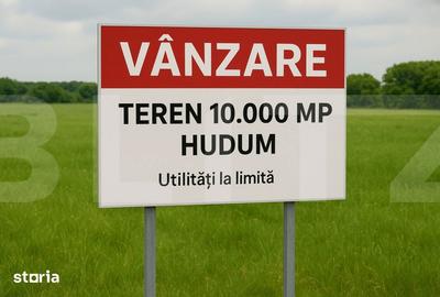 Teren de 10000 mp, în Curtești - 1