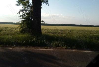 Teren de 8900 mp, în Gagu - 3