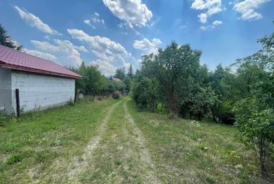 Teren de 4534 mp, în Câmpu lui Neag - 1