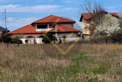 Teren Construcții intravilan de 4900 mp, în Cernica
