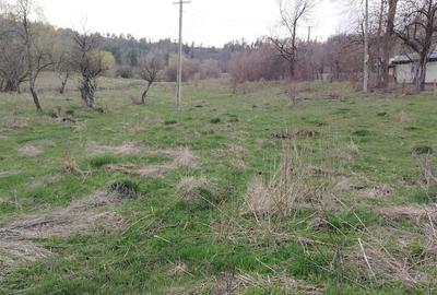 Teren de 4200 mp, în Bisoca - 5