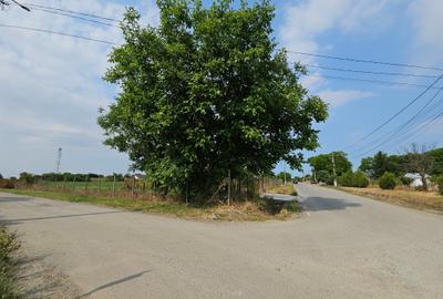Teren Construcții intravilan de 5465 mp, în Topraisar - 4
