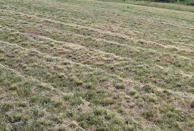 Teren de 1172 mp, în Sălciua Nouă - 3