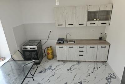 Casă individuală cu 3 camere cu Canalizare în Beregsău Mic - 5