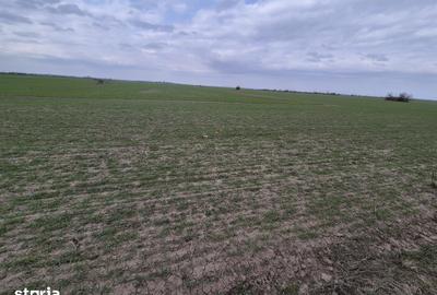 Teren de 13852 mp, în Domnești