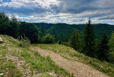 Teren de 1824 mp, în Mărișel - 2