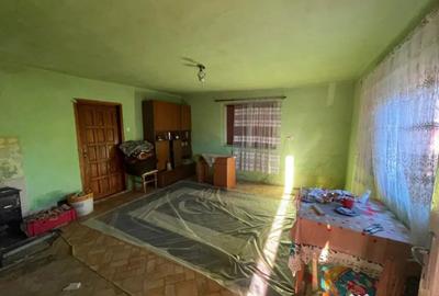 Casă cu 2 camere cu Teren 2751 Mp în Lucăcești - 3