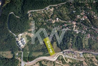 Teren Construcții intravilan de 9102 mp, în Drumul Poienii - 11