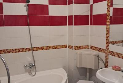Apartament cu 2 camere semidecomandat în Șelimbăr - 2