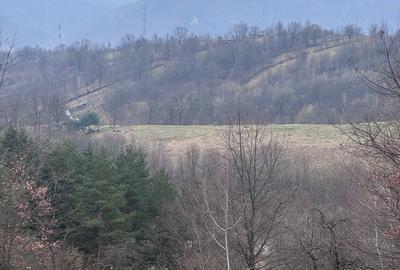 Teren de 6000 mp, în Alexandru cel Bun