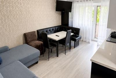 Apartament cu 2 camere semidecomandat în Moara Grecilor - 1