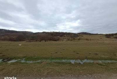 Teren de 2500 mp, în Central - 6